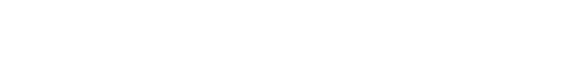 Novonesis logo